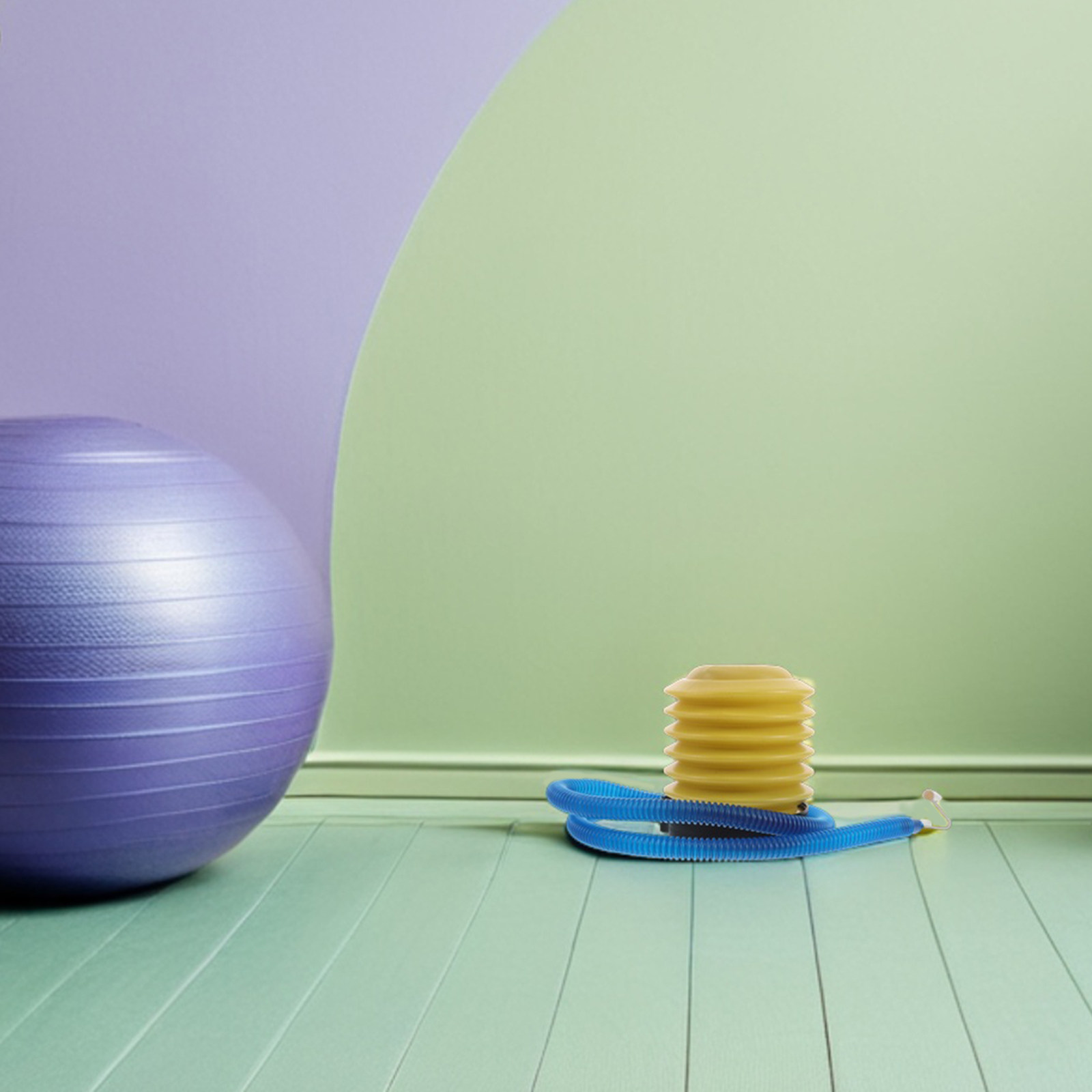1Set Yoga Ball Pump Manual Foo - Pilates Yoga Ball 评论和价格